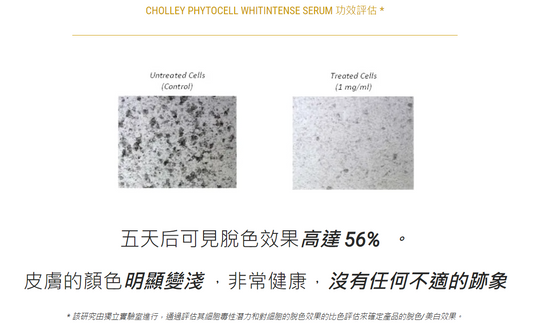 CHOLLEY 1004V 至尊能量退斑精華 Phytocell Whitingtense Serum