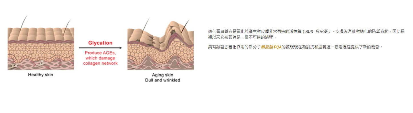 CHOLLEY 1015V 金至尊抗糖化緞亮乳膏 Phytobiotech Satin Balm