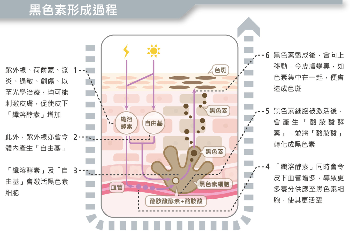 CytoSkin CK39 傳明酸 6X 美白淡斑精華 Tranexamic Acid 6X Whitening Serum