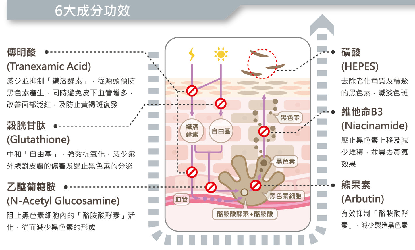 CytoSkin CK39 傳明酸 6X 美白淡斑精華 Tranexamic Acid 6X Whitening Serum